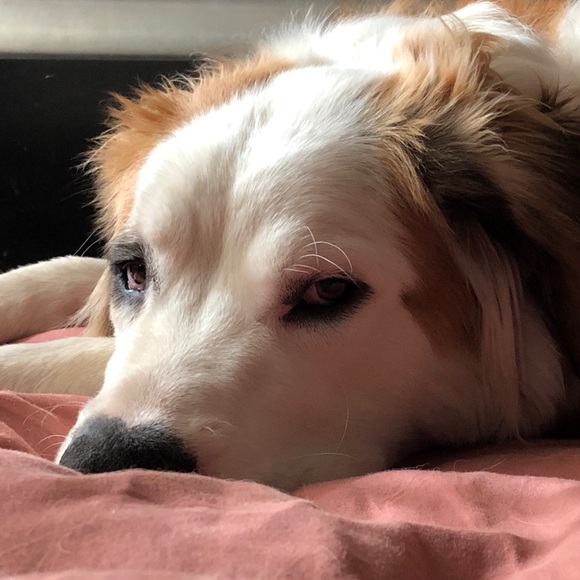 Meet your Posher, Bug! - Picture 7 of 12